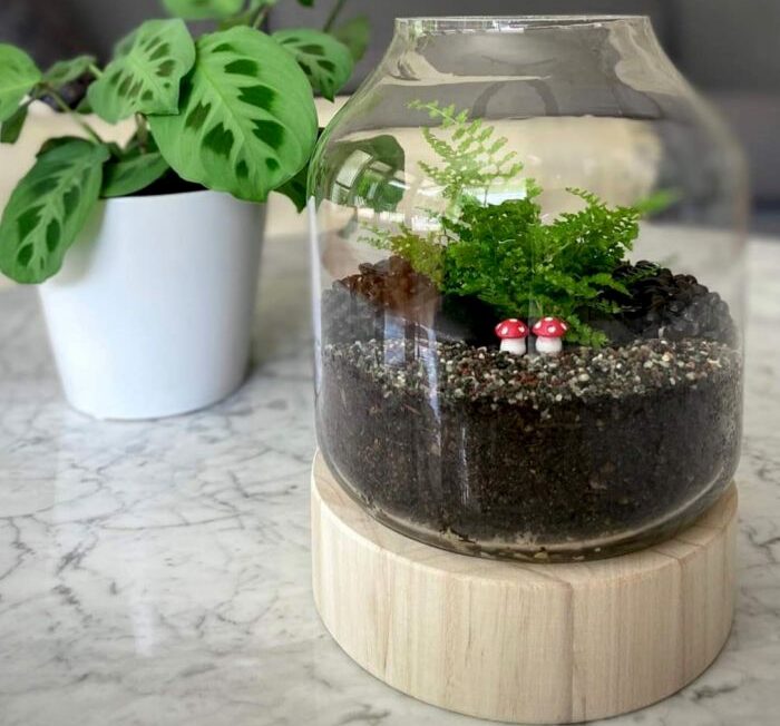 planted glass terrarium, wooden base, wood ball, stone bench, white pot plant