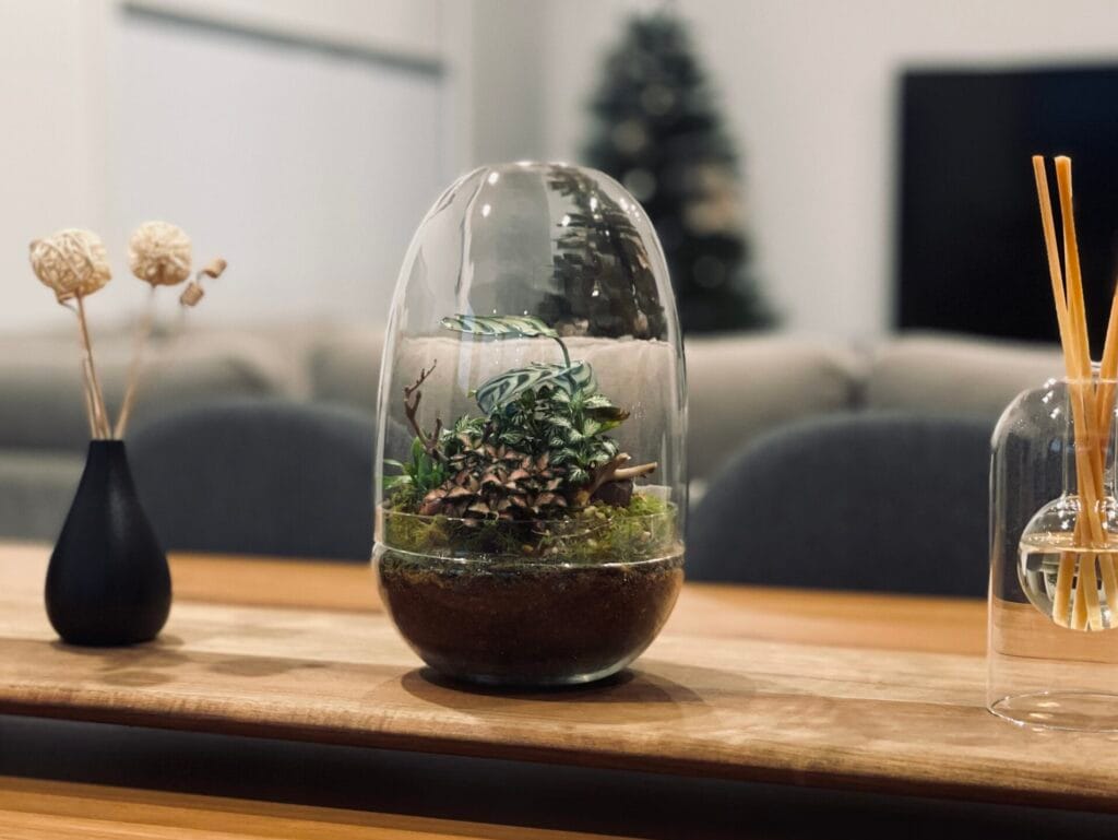 planted glass terrarium, timber table, black vase, reed diffuser