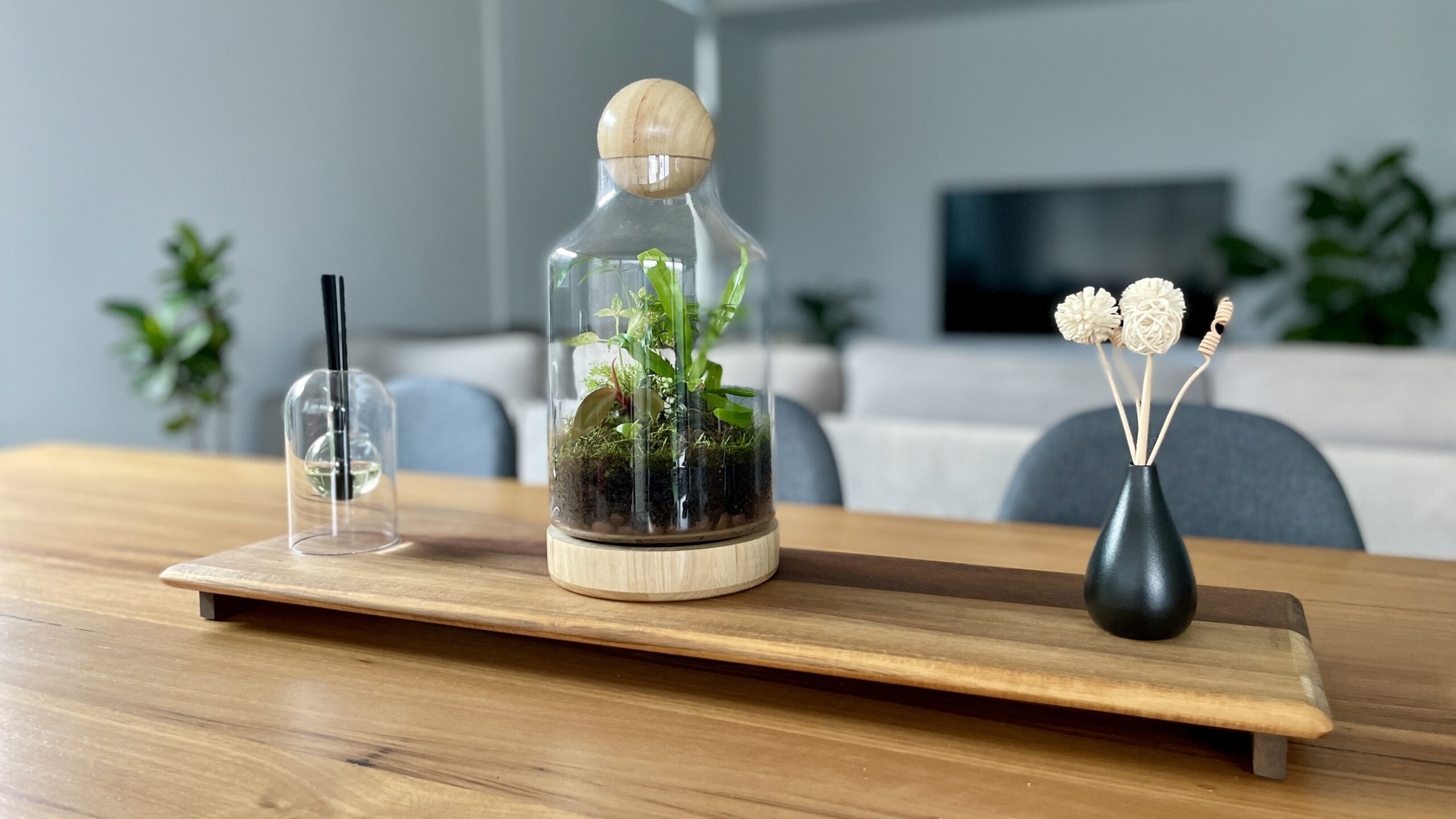 Eko Jungle large diy terrarium kit with plants