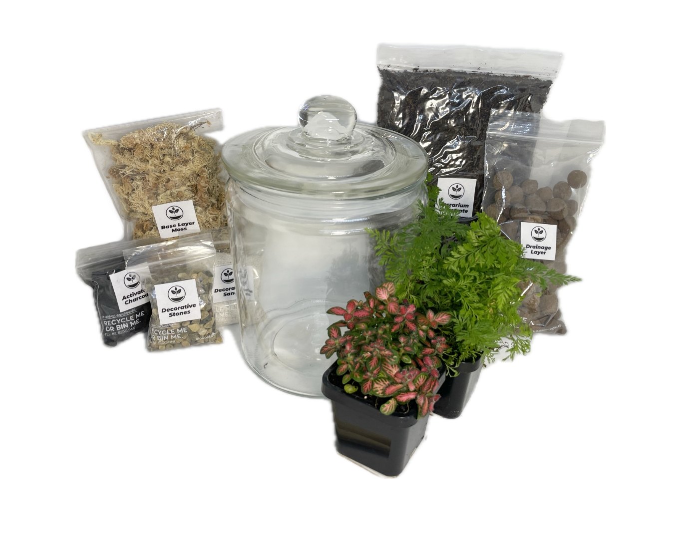 Full diy jar terrarium kit, including glassware, substrates, plants and tools
