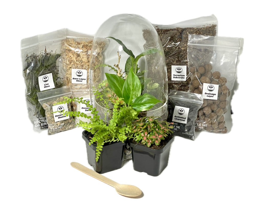 Full diy terrarium kit, including glassware, substrates, plants and tools