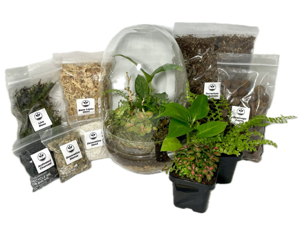 Full diy terrarium kit, including glassware, substrates, plants and tools