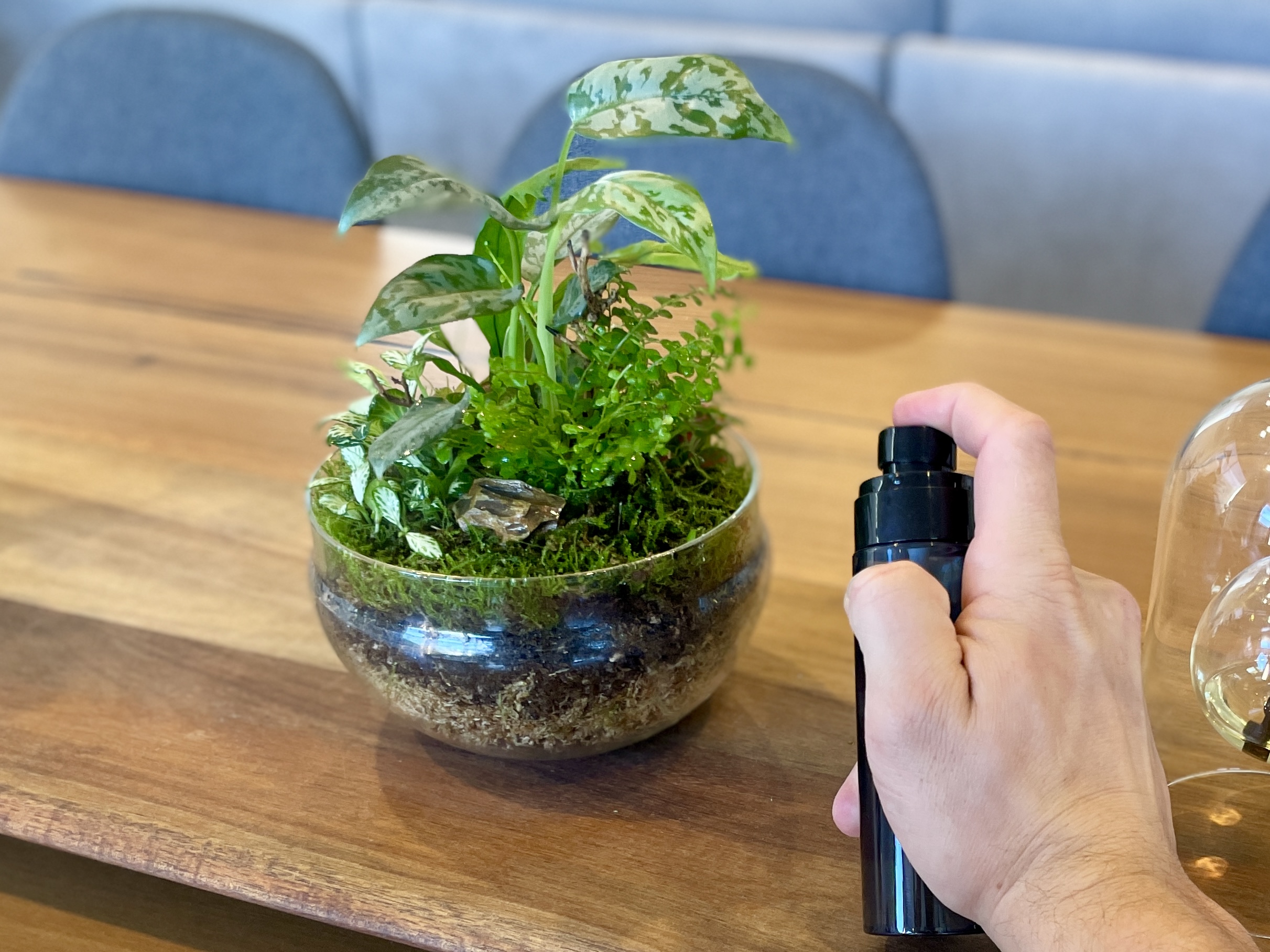 Eko Lab Terrarium