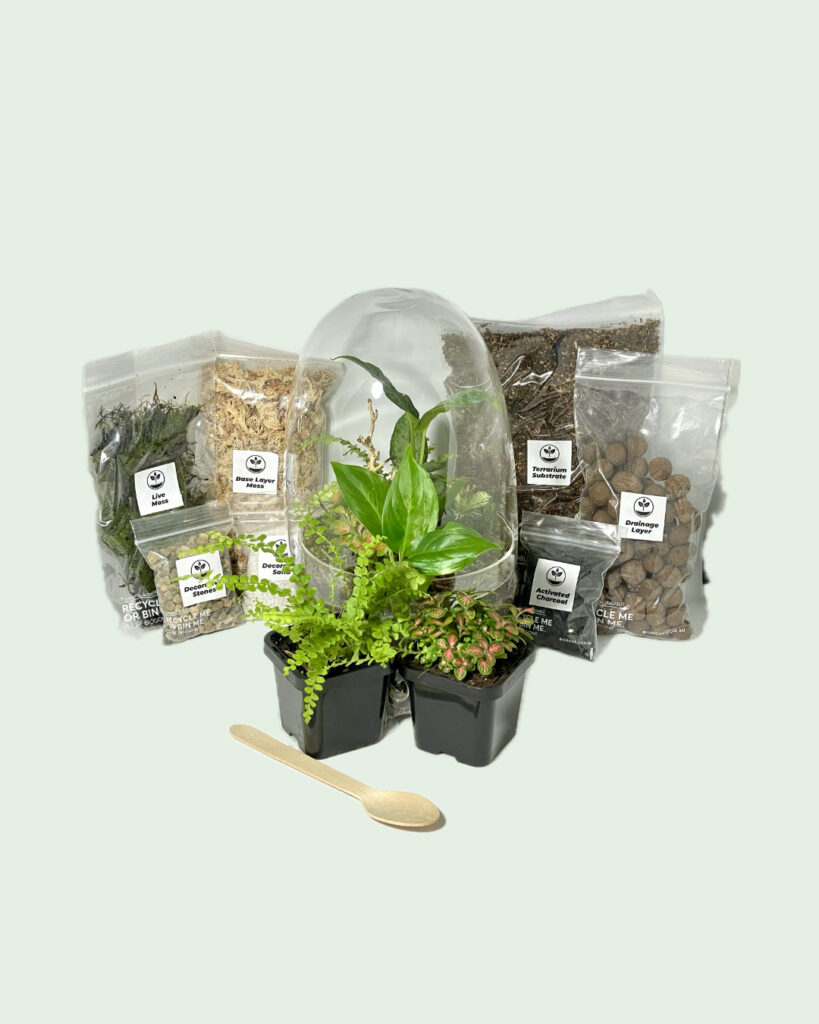 Eko lab Full DIY Terrarium Kit