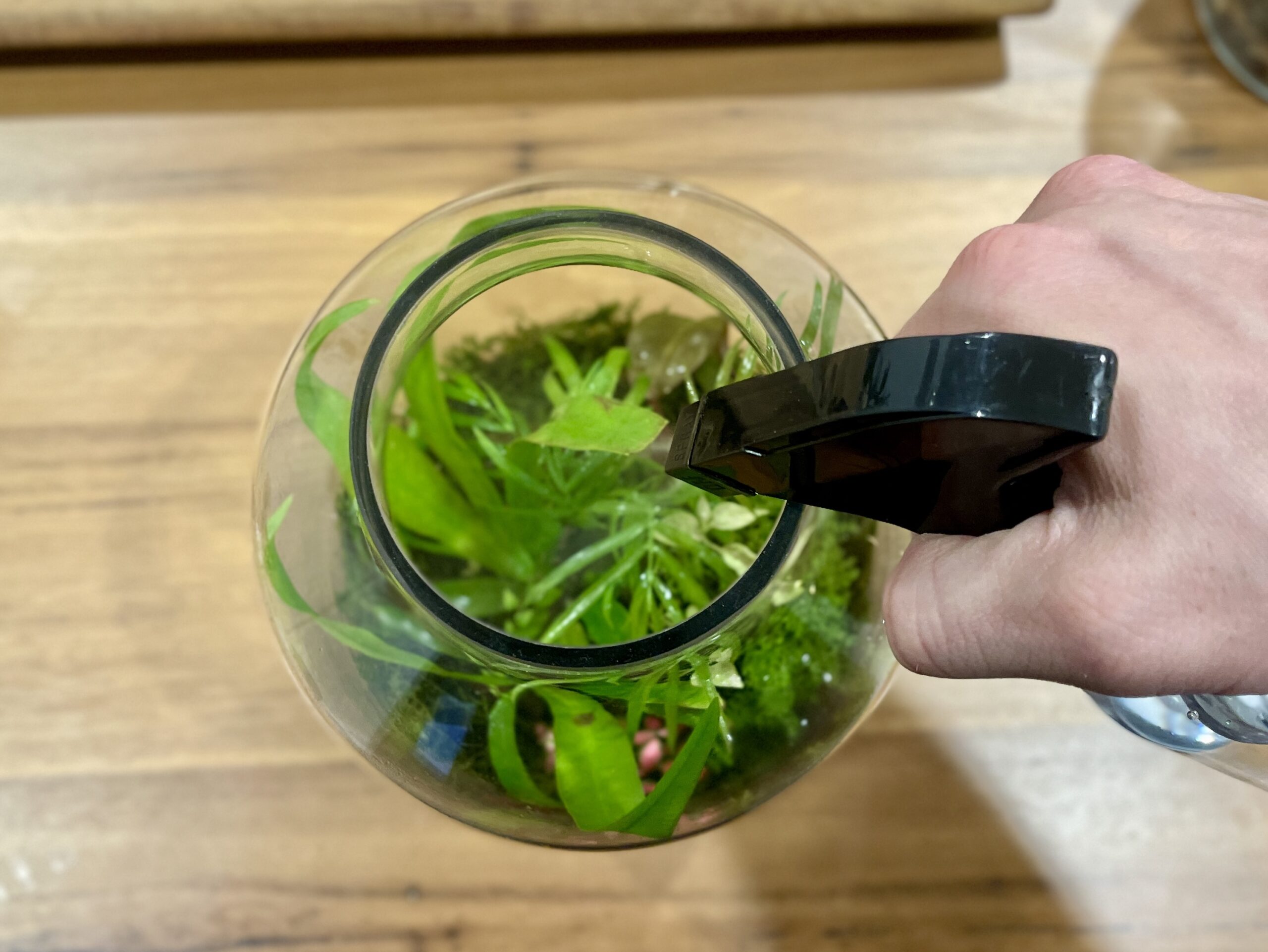 Terrarium Spray Bottle - Image 5