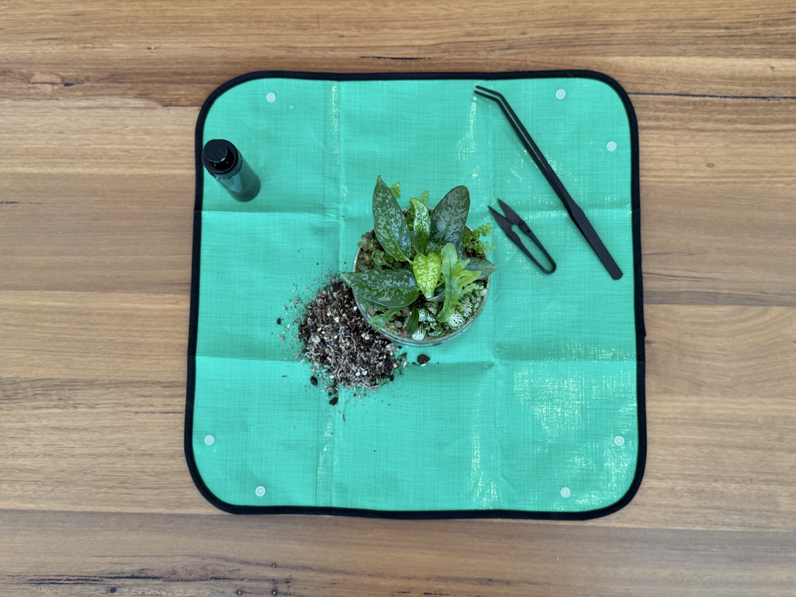 eko lab green terrarium work mat